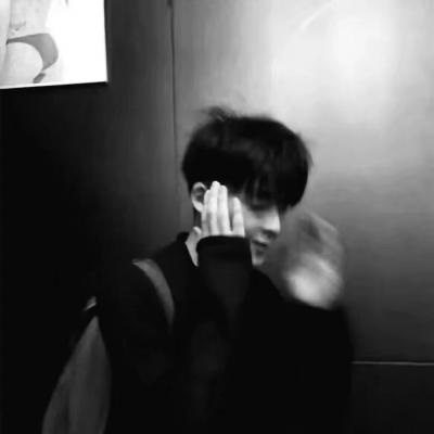 Furry绘画色彩灵感福瑞群